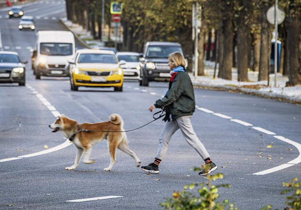 Москвичам пообещали внезапное потепление