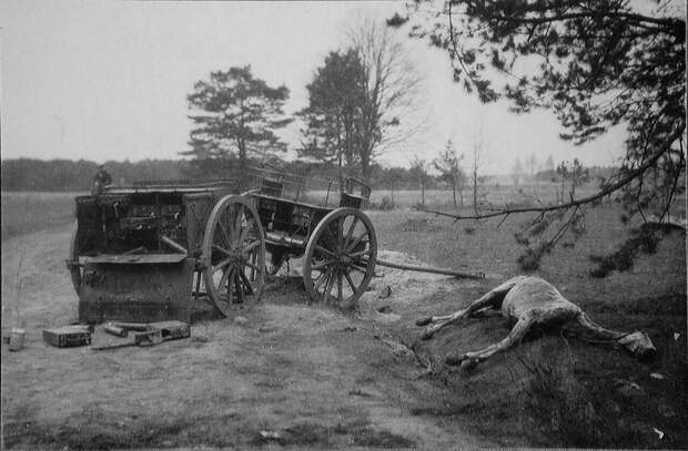 История России ХХ века глазами обывателя - 1914 год - Фотогалерия — Первая мировая война - 