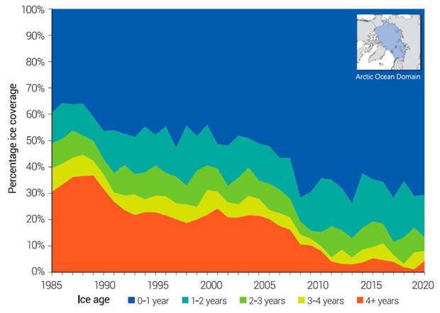 Рис. 7. Процент льдов разного возраста в арктическом ледовом покрове по годам