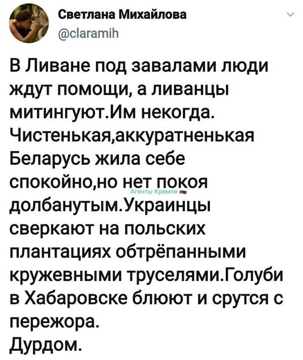 Политические комментарии из инета