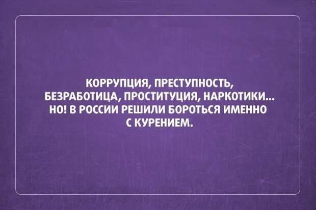 Приколы