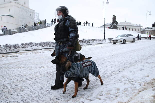 Порядок на новогодних площадках в Татарстане обеспечивали более 2,5 тыс. полицейских