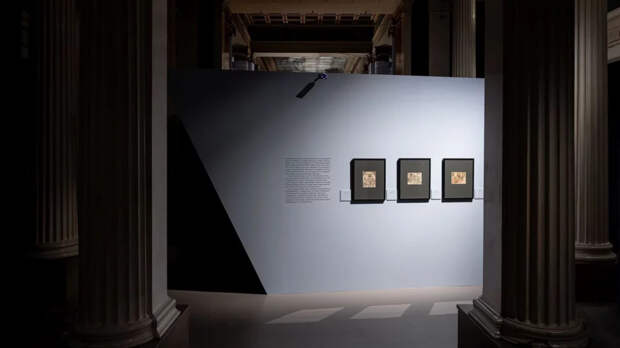 Тимоти Шаламе и «Светлая Оттепель»: Куда сходить в Москве с 12 по 18 января