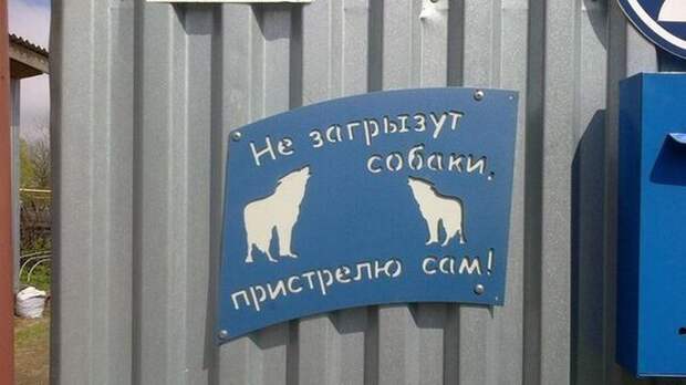 Веселые картинки и фотографии для позитива (11 фото)