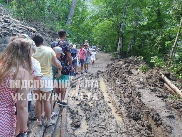 После наводнения: Ялта и ее крокодилы