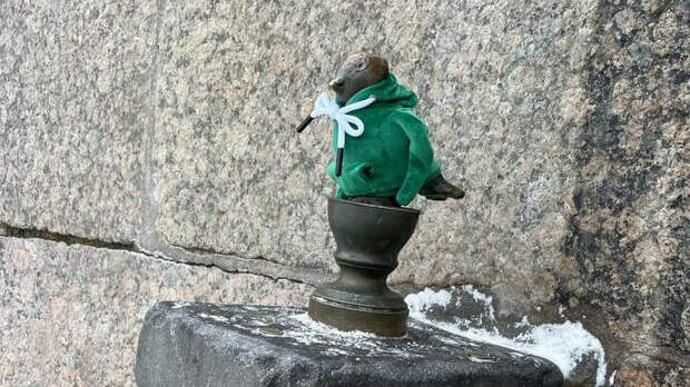 Чижика-Пыжика нарядили в теплую кофточку