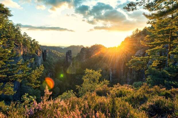 Национальный парк Саксонская Швейцария (Nationalpark Sächsische Schweiz) 