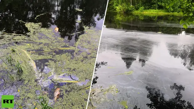 На реке Поля в Подмосковье появились пятна неизвестного происхождения