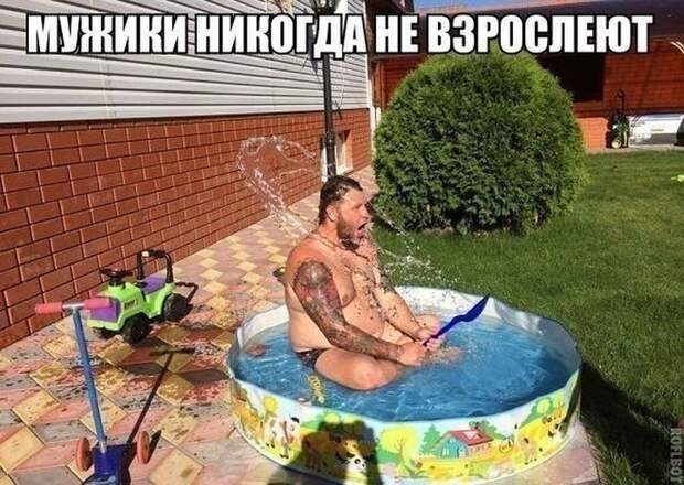 Смешные картинки с подписями  юмор, картинки, прикол