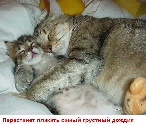 Улыбнись (15 картинок)