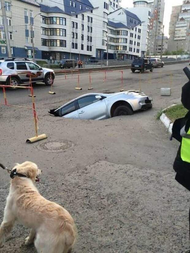 Нелепые случаи на дорогах Нелепые случаи на дорогах