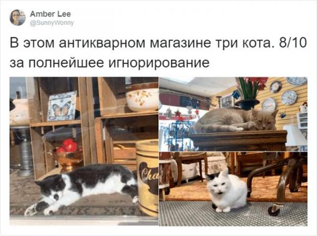 www.vsyako.net