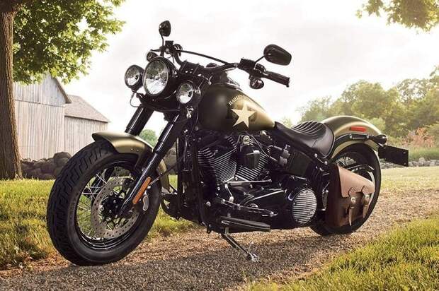 Harley-Davidson Softail Slim, на котором можно разогнаться до 125 км в час/ Фото: avtotachki.com