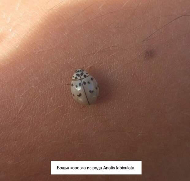 20 фотографий, способных расширить ваш кругозор в одно мгновение