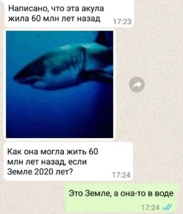 Упоротость зашкаливает: логика и рядом не лежала