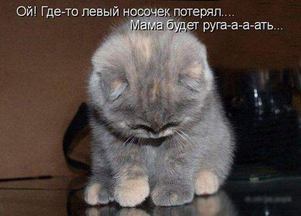 1396615473_o5pzoskVKs (604x433, 40Kb)