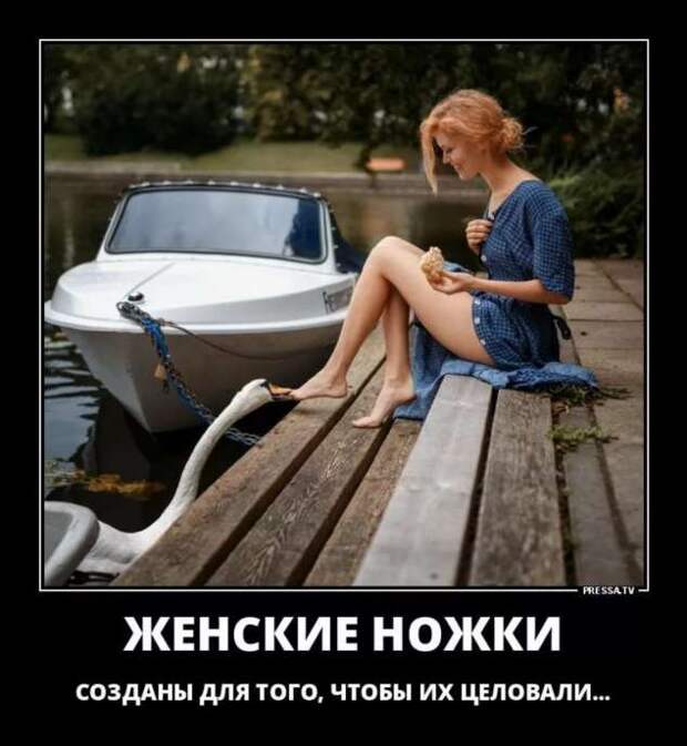 Прикольные демотиваторы с надписями. Подборка chert-poberi-dem-chert-poberi-dem-36041212082020-11 картинка chert-poberi-dem-36041212082020-11