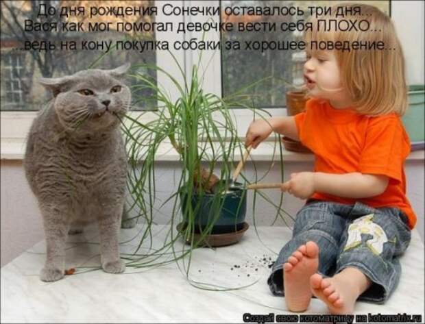 Милая котоматрица