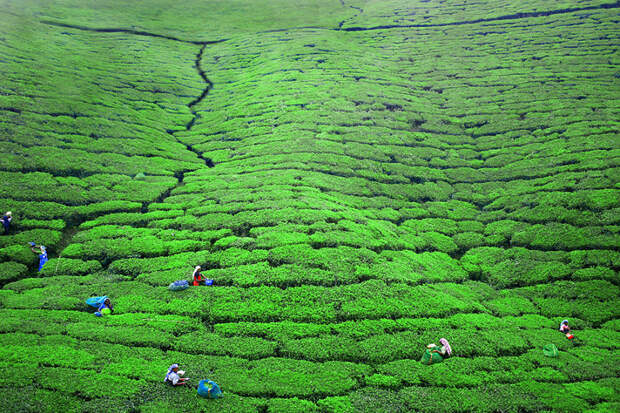 bpanda-places-7-57f766665ca9d__880