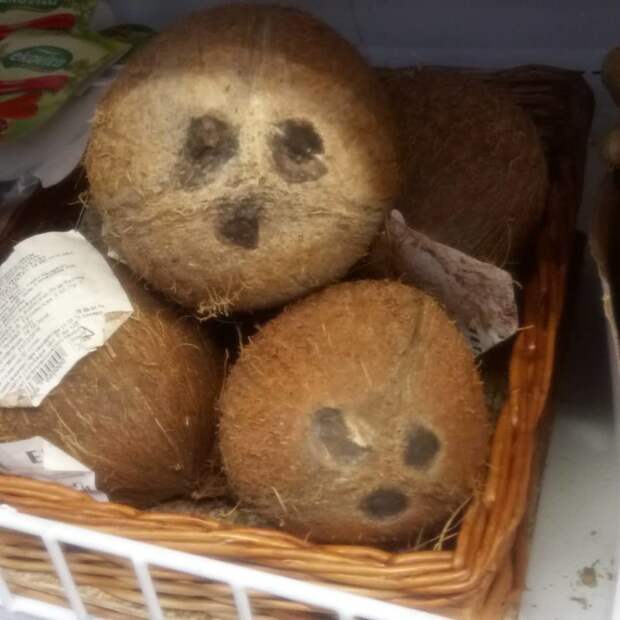 Лица спрятаны повсюду