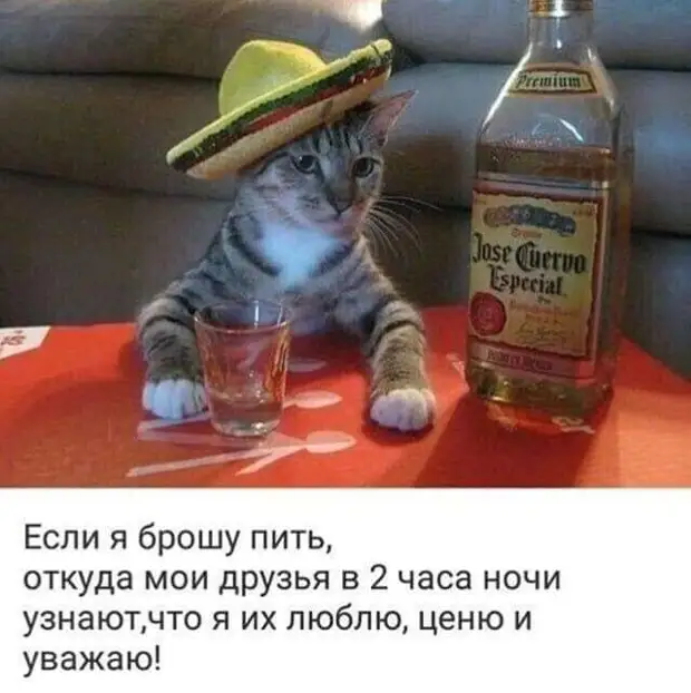 Мужчина отличается от женщины тем, что перед совершением глупости он тщательно ее обдумывает Мужчина отличается от женщины тем, что перед совершением глупости он тщательно ее обдумывает понедельник, после, среду, нужен, России, новых, выросло, сделать, передвинуть, Почему, нельзя, хотели, придумать, понедельника, разводитьсяХуже, передумал, папой, остаться, полиция, Четверг