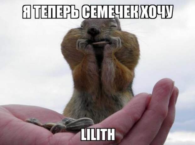 1449857340_1255464