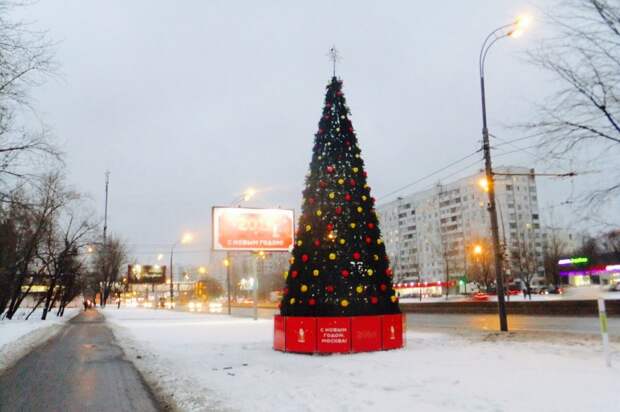 Высокая ель/предоставлено управой района Алтуфьевский