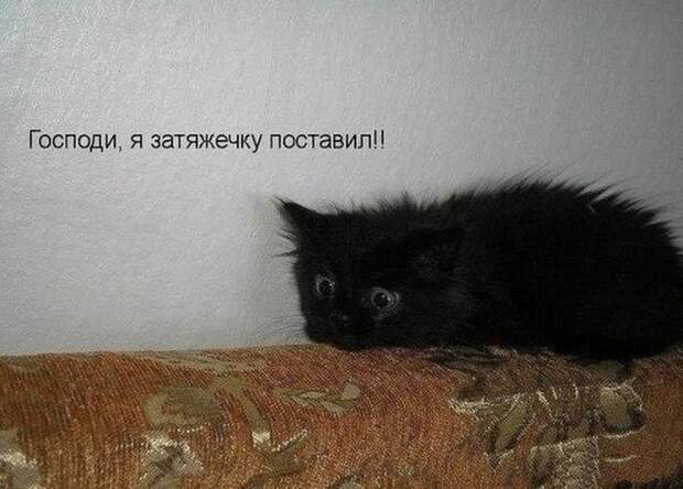 Прикольные картинки абавсём:D (20.10.16)