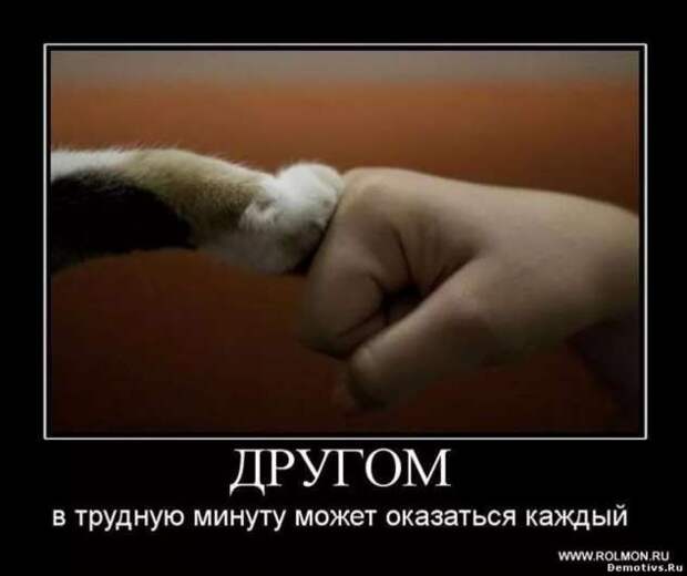 Прикольные демотиваторы с надписями. Подборка chert-poberi-dem-chert-poberi-dem-30580603092020-4 картинка chert-poberi-dem-30580603092020-4