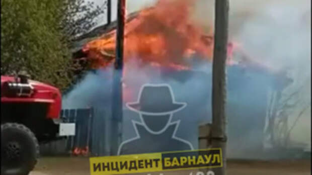 Минприроды: огонь в лесной фонд Егорьевского района мог перейти из села Борисовка