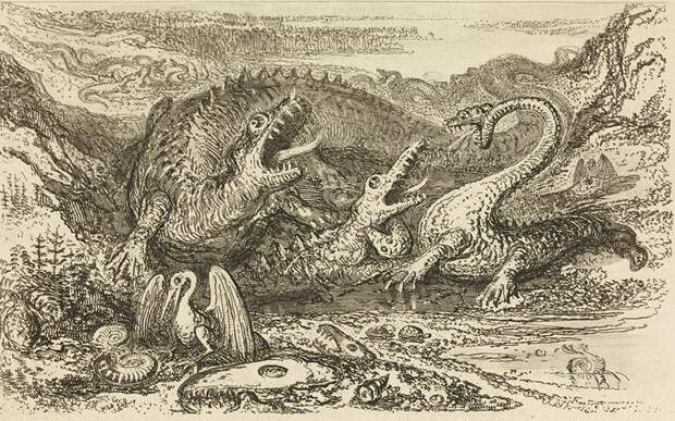 История динозавра, ранее известного как Scrotum humanum