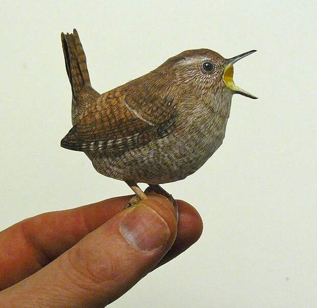 3dbird07 3dbird07 Невероятно реалистичные бумажные 3D птицы