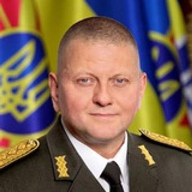 Залужный cообщил, что его политические планы зависят от ситуации на Украине