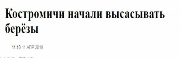 И тишина... И только сосущие с березами стоят... журналисты, заголовки, маразмы, непонтяное, новости, прикол, странное, фейк, юмор
