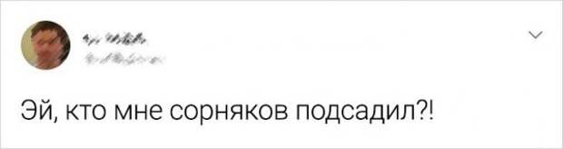 Подборка забавных твитов, которые особенно поймут те, чья юность выпала на нулевые