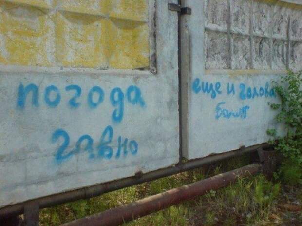 Забавные надписи и объявления Забавные надписи и объявления