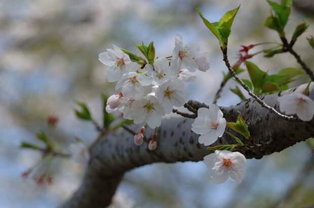 Есть только миг между прошлым и будущем... Есть только миг между прошлым и будущем...