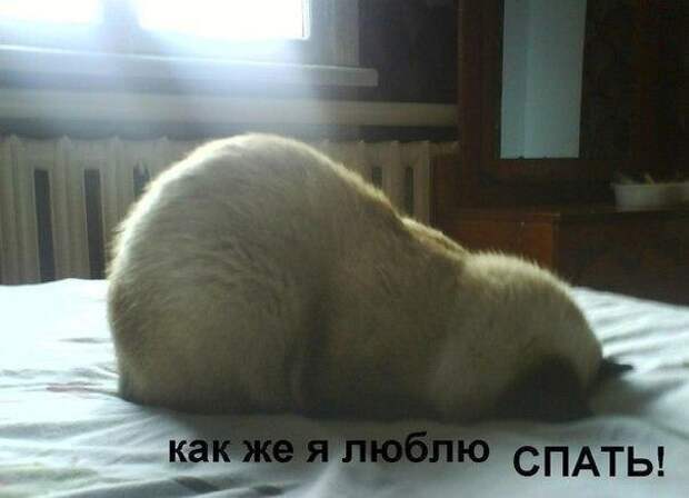 Всяко - разно 9  )))