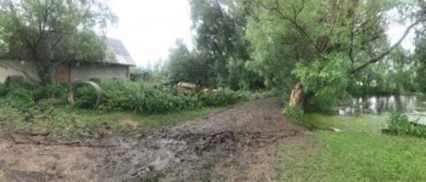 В Калужской области дерево убило 15-летнего мальчика