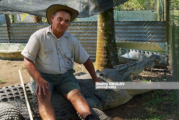 Фермер верхом на крокодиле