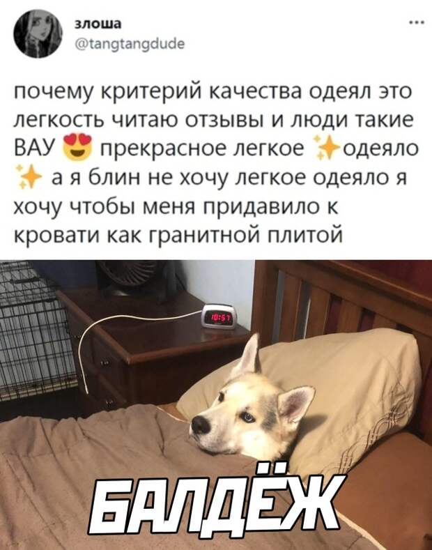 Смешные картинки вечер 8 сентября 2021 года