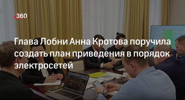 Глава Лобни Анна Кротова поручила создать план приведения в порядок электросетей