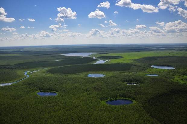 Пусть и вас впечатлит дикая красота грандиознейшего болота в Сибири Болота, красота, легенды, природа, простор, россия, сибирь