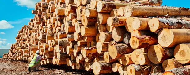 Финская Stora Enso продаст заводы в России