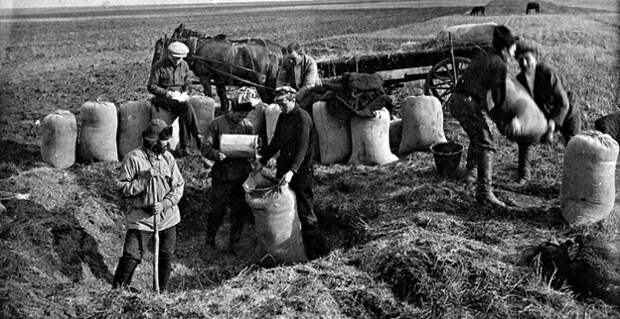 Крестьяне засыпают зерно в земляные ямы. Фото из открытого доступа