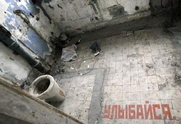 Прикольные картинки Прикольные картинки