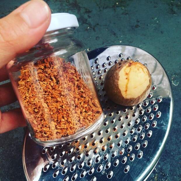 о пользе косточки авокадо