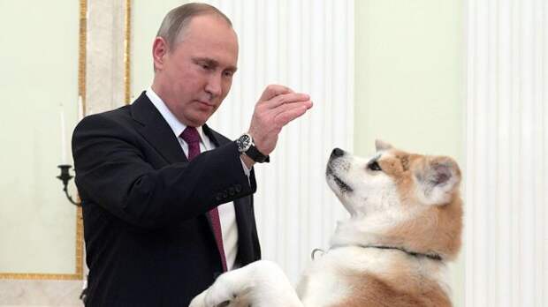 Путин и Юмэ