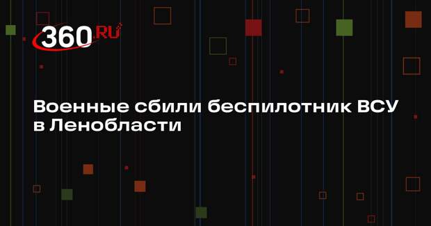 Военные сбили беспилотник ВСУ в Ленобласти