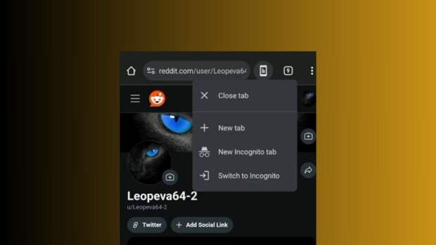 1723558222_chrome-canary-android_story.jpg
